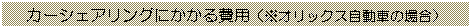 eLXg {bNX: J[VFAOɂpiIbNXԂ̏ꍇj